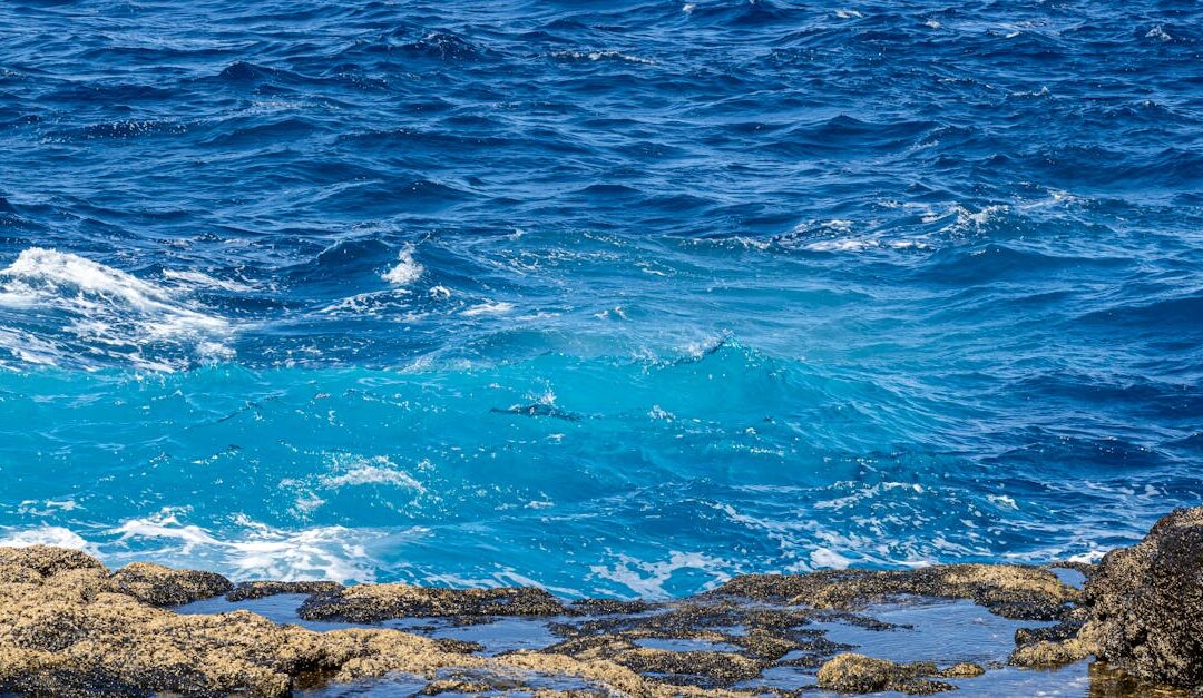 Pros and Cons of Saltwater Pools in Hialeah: A Comprehensive Guide for Homeowners