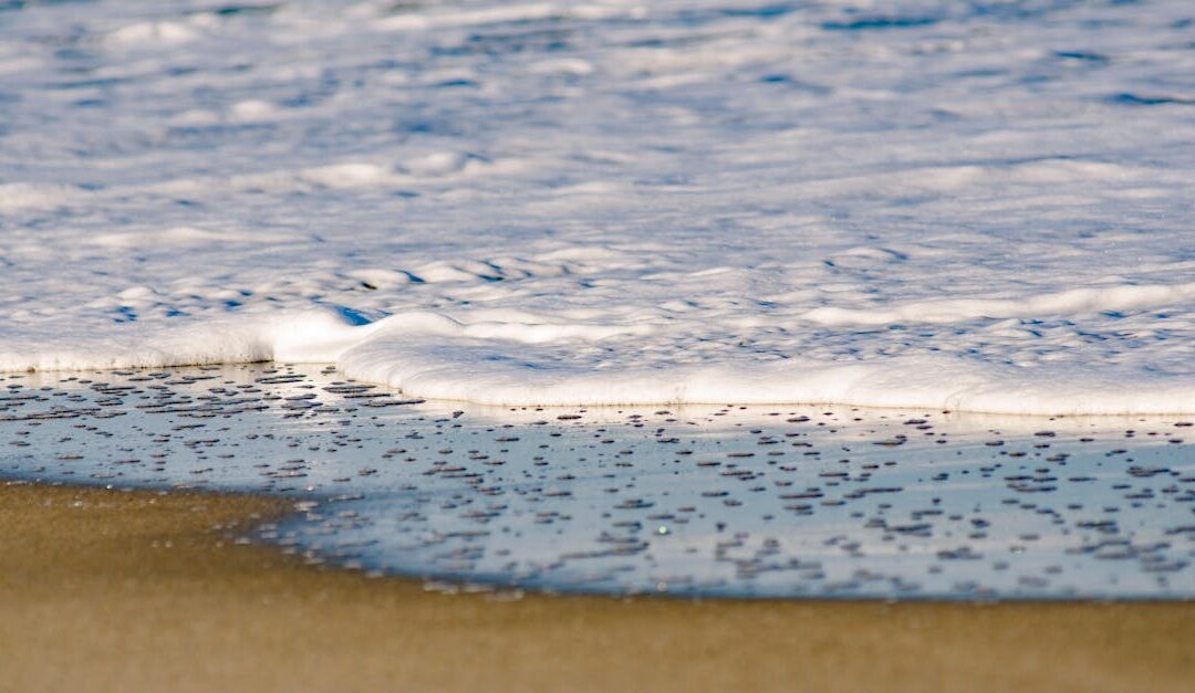 How to Saltwater Pools in West Palm Beach: Benefits, Setup, and Maintenance Tips